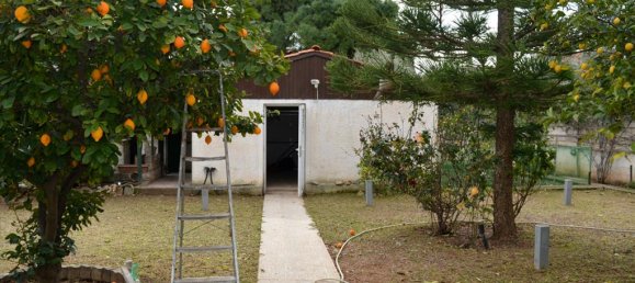 2 bedrooms Property in Artemida, Greece No. 5861 4