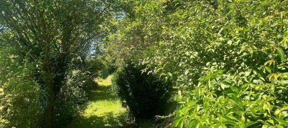 6-salle Maison de ville à Bad Kreuznach, Germany No. 142673 20