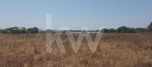 Grundstück in Montenegro, Portugal 13460m², Nr. 133196 4