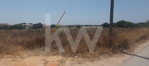 Grundstück in Montenegro, Portugal 13460m², Nr. 133196 12