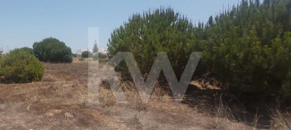 Grundstück in Montenegro, Portugal 13460m², Nr. 133196 20