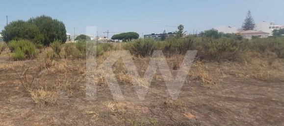 Grundstück in Montenegro, Portugal 13460m², Nr. 133196 10