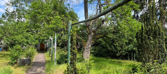 7 rooms Cafe / restaurant in Mannheim, Germany No. 257937 10