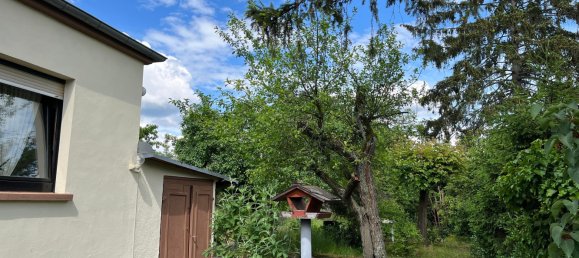 7 rooms Cafe / restaurant in Mannheim, Germany No. 257937 17