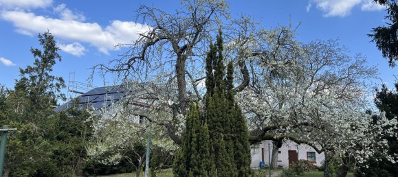 7 rooms Cafe / restaurant in Mannheim, Germany No. 257937 12