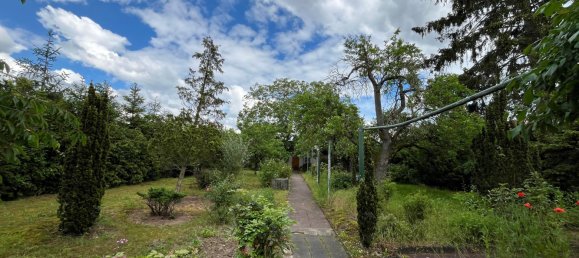 7 rooms Cafe / restaurant in Mannheim, Germany No. 257937 14