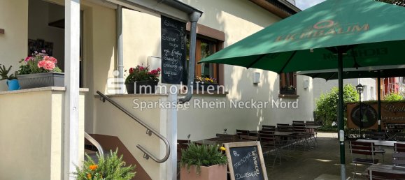 7 rooms Cafe / restaurant in Mannheim, Germany No. 257937 4