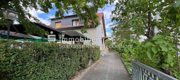 7 rooms Cafe / restaurant in Mannheim, Germany No. 257937 7