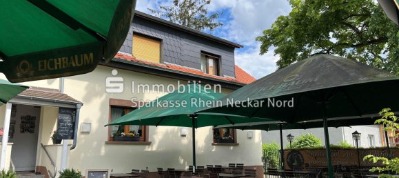 7 rooms Cafe / restaurant in Mannheim, Germany No. 257937 5