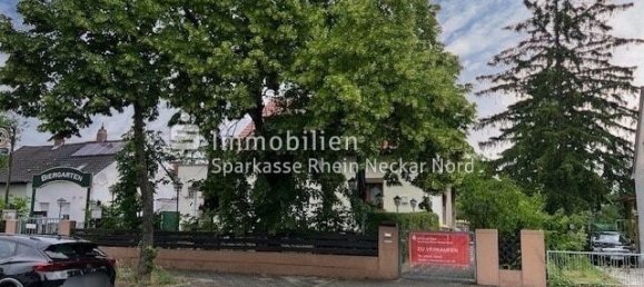 7 rooms Cafe / restaurant in Mannheim, Germany No. 257937 2