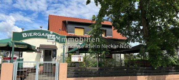 7 rooms Cafe / restaurant in Mannheim, Germany No. 257937 3