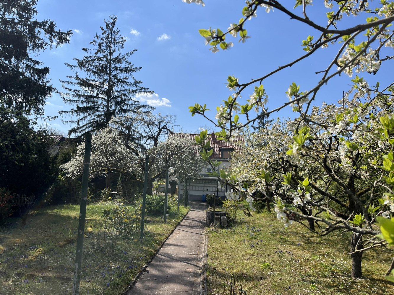 7غرفة مقهى / مطعم في Mannheim, Germany رقم 257937