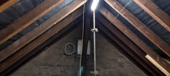 7 rooms Cafe / restaurant in Mannheim, Germany No. 257937 26