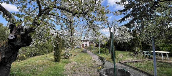 7 rooms Cafe / restaurant in Mannheim, Germany No. 257937 13