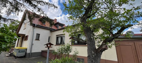 7 rooms Cafe / restaurant in Mannheim, Germany No. 257937 8