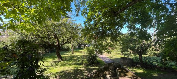 7 rooms Cafe / restaurant in Mannheim, Germany No. 257937 16