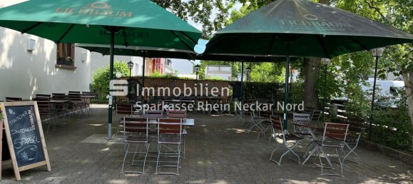 7 rooms Cafe / restaurant in Mannheim, Germany No. 257937 6