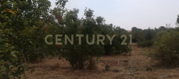 Terrain à Pedara, Italy 3300m² No. 377344 2