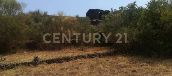 Terrain à Pedara, Italy 3300m² No. 377344 4