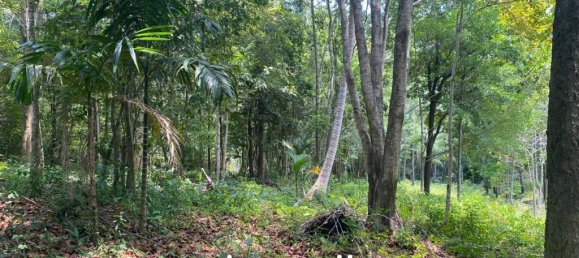  Commercial property in Wiang Sa, Thailand No. 13174 7