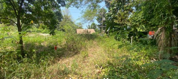  Commercial property in Wiang Sa, Thailand No. 13174 13