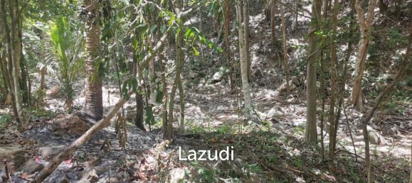  Commercial property in Wiang Sa, Thailand No. 13174 12