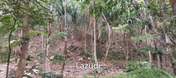  Commercial property in Wiang Sa, Thailand No. 13174 9