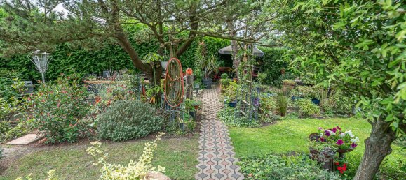 3 chambres Maison à Ammerland, Germany No. 267519 38