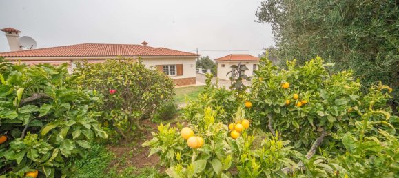 3 bedrooms Villa in Icod de los Vinos, Spain No. 76443 19