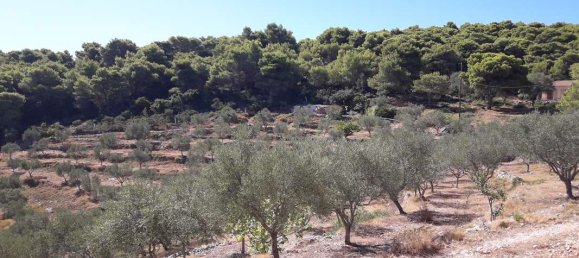 1 bedroom Commercial property in Zakynthos, Greece No. 8550 24