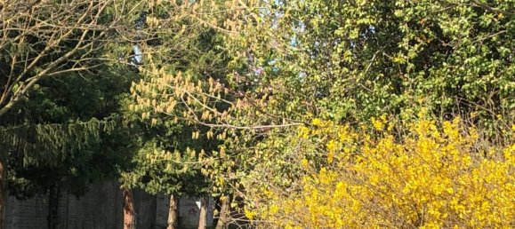 3 bedrooms Villa in Mirandola, Italy No. 224665 2