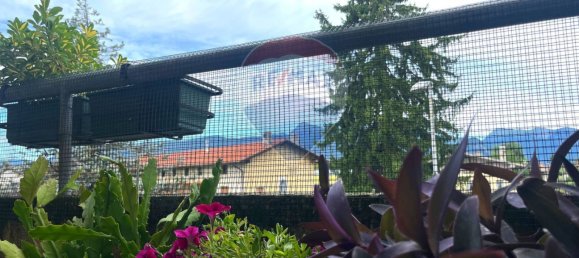 Apartamento de 5 habitaciónes en Udine, Italy No. 292338 23