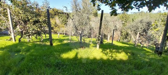 Casa T2 em Sertã, Portugal N.º 37545 11