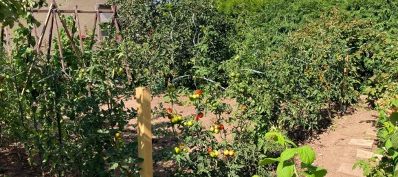 4-Zimmer Haus in Mansfeld-Südharz, Germany, Nr. 149039 15