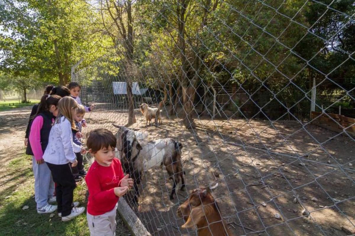  Land in Cordoba, Argentina No. 47208