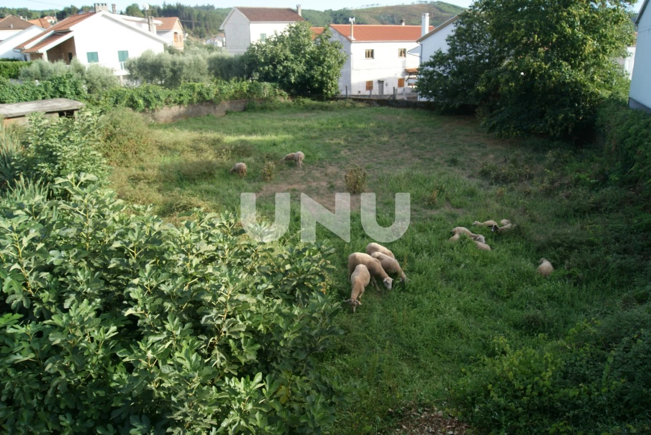  Land in Paul, Portugal No. 77007