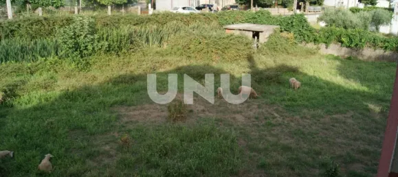  Land in Paul, Portugal No. 77007 4