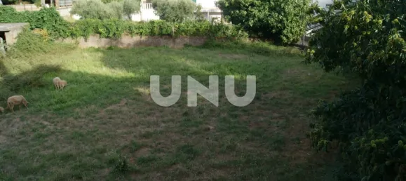  Land in Paul, Portugal No. 77007 5