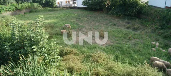  Land in Paul, Portugal No. 77007 3