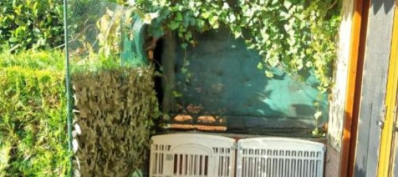 Studio in Bellinzago Lombardo, Italy No. 26821 2