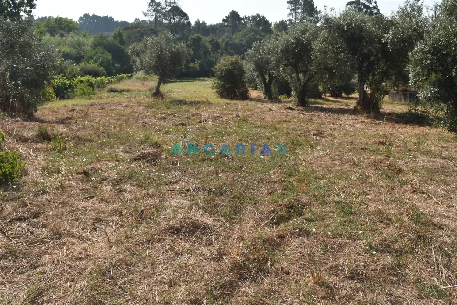  قطعة أرض في Aguda, Portugal رقم 243363