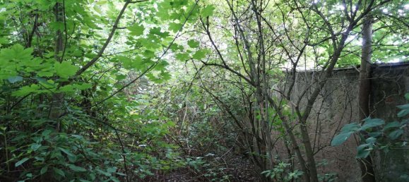 Terreno em Ostprignitz-Ruppin, Germany N.º 258759 14