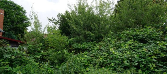 Terreno em Ostprignitz-Ruppin, Germany N.º 258759 9