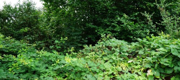 Terreno em Ostprignitz-Ruppin, Germany N.º 258759 7