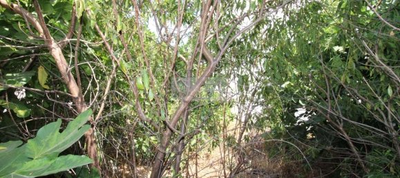 Terreno en Lagos, Portugal 25 m² No. 198570 5