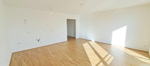 2-salle Propriété commerciale à Deutsch-Wagram, Austria No. 82289 5