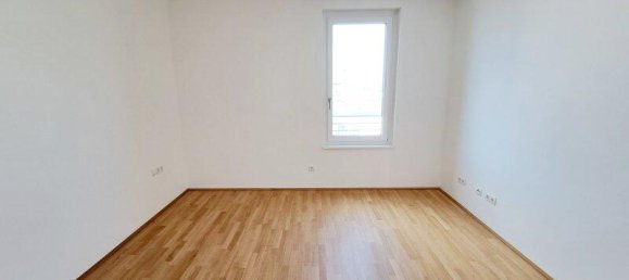 2-salle Propriété commerciale à Deutsch-Wagram, Austria No. 82289 6