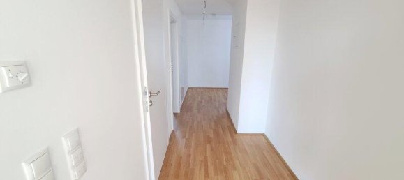 2-salle Propriété commerciale à Deutsch-Wagram, Austria No. 82289 9