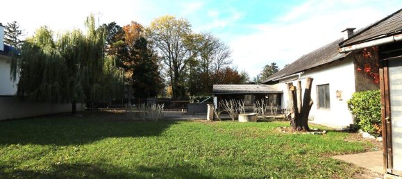 8 rooms House in Leobersdorf, Austria No. 13629 11