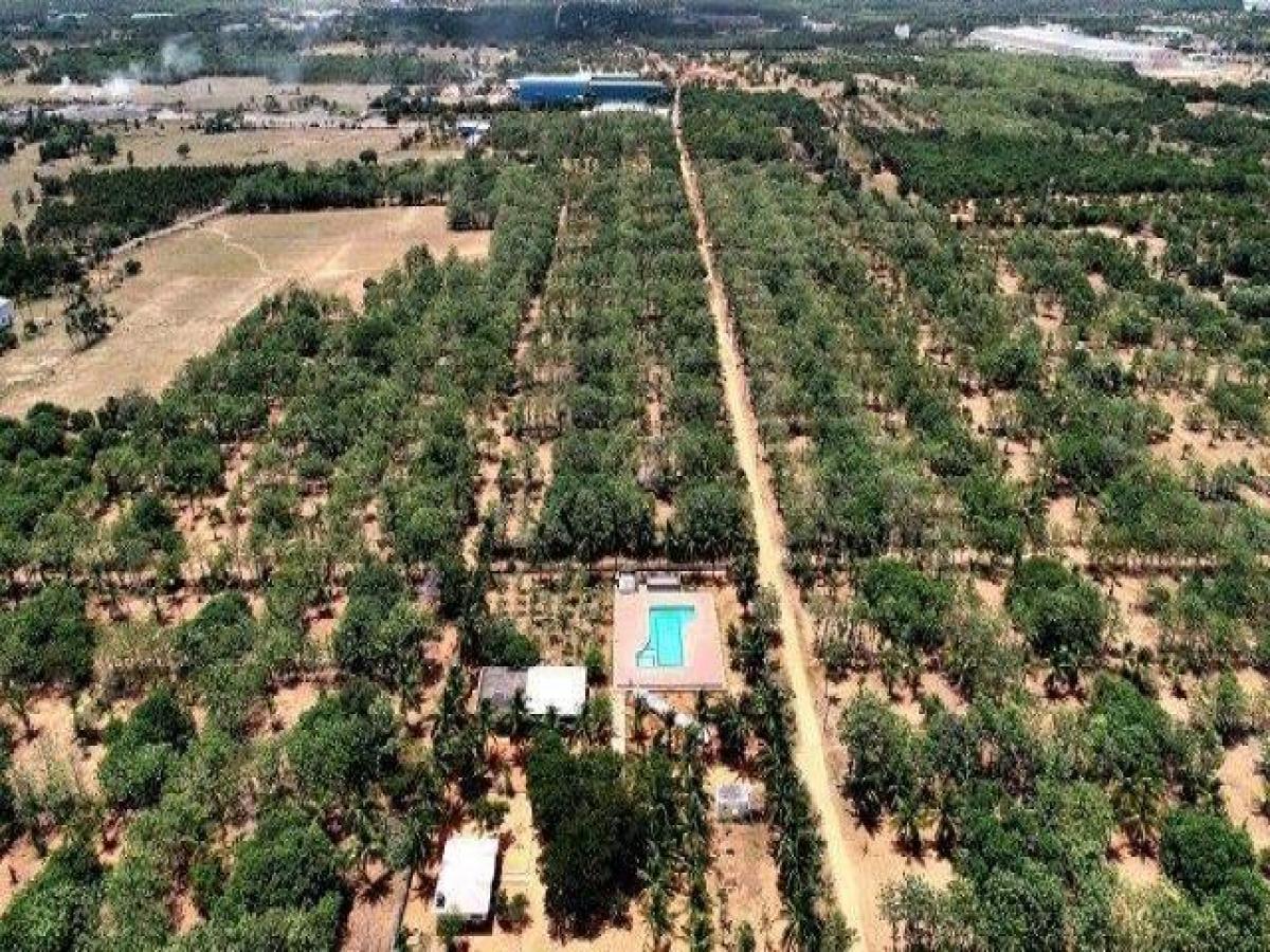  Land in Chennai, India No. 40213